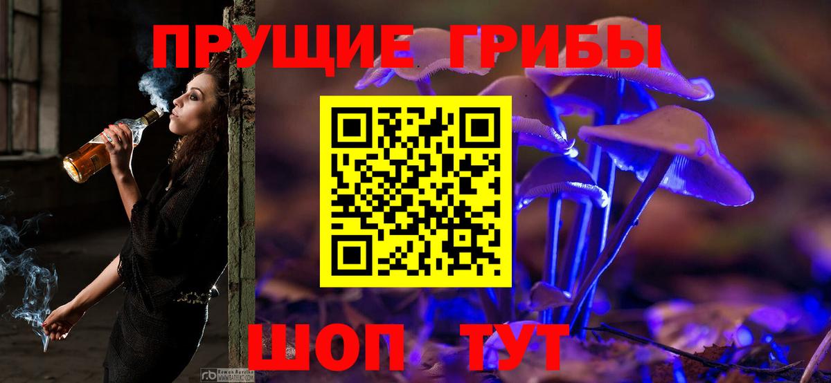 Галлюциногенные грибы GOLDEN TEACHER  Вход с VPN  Скопин  Псилоцибиновые грибы Psilocybe 